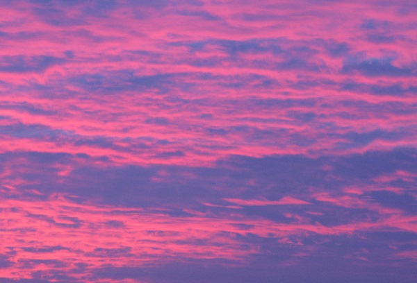 Pink Sky in York