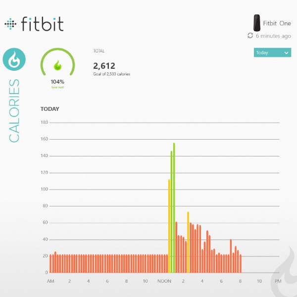 Fitbit Software